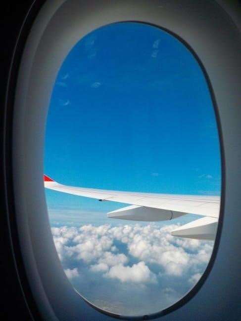 air ticket pdf