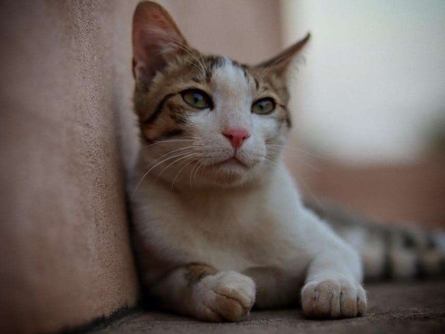 cat mate elite manual